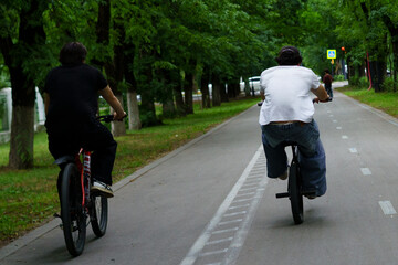 Fototapeta premium Cyclists enjoying a leisurely ride on a tree-lined path in a city park during a sunny day