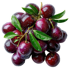 A fresh bunch of glistening deep red java plums with vibrant green leaves, covered in water droplets, sits isolated against a clean white background.