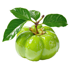 A vibrant green garcinia cambogia fruit with fresh leaves glistens against a pure white backdrop, showcasing its natural beauty and potential health benefits.