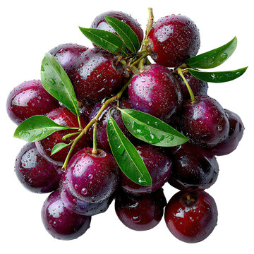 A fresh bunch of glistening deep red java plums with vibrant green leaves, covered in water droplets, sits isolated against a clean white background.
