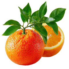 A vibrant whole orange adorned with fresh green leaves sits beside a juicy half orange, showcasing the fruit's bright color and texture against a white background.