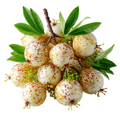 A captivating cluster of exotic spotted fruits surrounded by lush green leaves and delicate blossoms presented on a clean white background for striking detail.