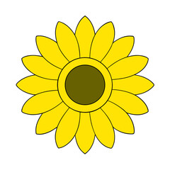 sunflower vector illustration