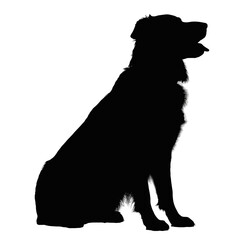 Silhouette of a Sitting Dog Against White Background