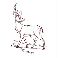 Deer vector