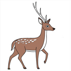 Deer vector