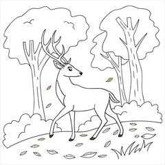 Deer vector