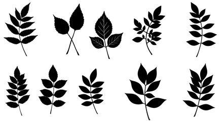 Variety of Leaf Silhouettes in Black and White Vector Illustration
