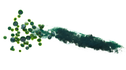 Green liquid droplets and particles forming an abstract shape isolated on transparent background