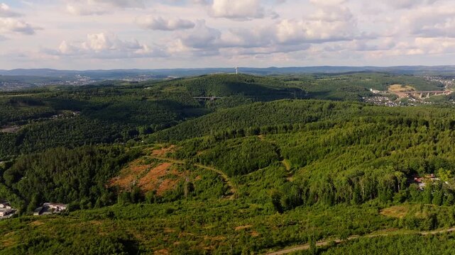 the forests of the german siegerland 4k 25fps video