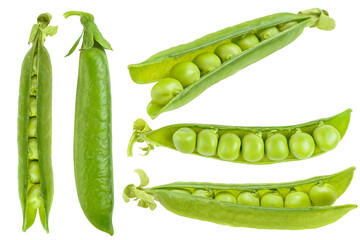 Set, collection of open green pea pod with individual peas scattered around in different position, isolated on white, transparent background. Food design element, healthy food, organic legume, crop