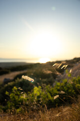 Zachód na Pagu. © Antoni