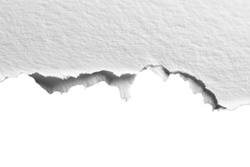 Torn paper edge texture collection PNG with a transparent background

