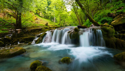 flowing spring water waterfall in the forest