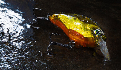 Wet orange and gold fishing lure for casting on a dark rock