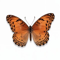 Fototapeta premium A 3D render of a vibrant orange butterfly with intricate black patterns along the edges and tips of its wings