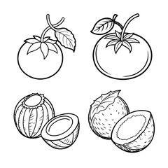 Fruit line art bundle design