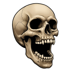 Obraz premium Eerie Skull: Detailed Halloween Symbol of Spookiness and Mystery