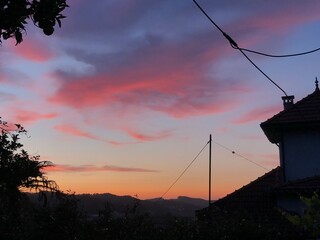 Sunset over the tree silhouettes 
