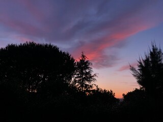 Sunset over the tree silhouettes 