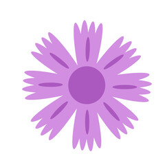 purple flower vector illustration