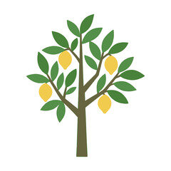 tree lemon illustration vector on white background
Vector illustration on white background flowers