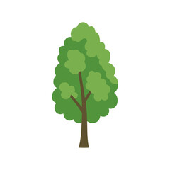 tree Poplar illustration vector on white background
Vector illustration on white background flowers