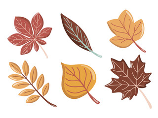 Autumn leaf set with maple, chestnut, willow, poplar, rowan and tulip tree. Vector isolated illustration on white background.