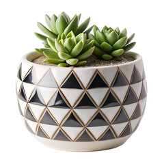 A geometric patterned pot holding three green succulents, isolated on a transparent background