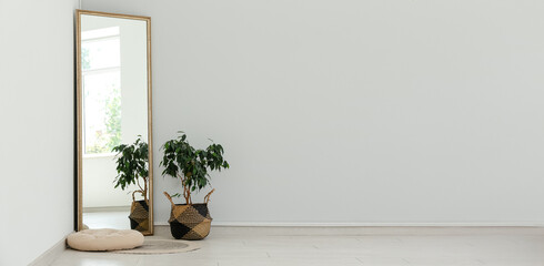 Floor mirror, houseplant and cushion near white wall in room. Banner for design