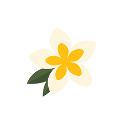 flowers Plumeria illustration vector on white background
Vector illustration on white background flowers