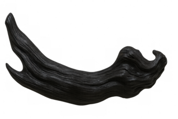 Driftwood with dark tones and intricate textures isolated on a transparent background, ideal for nature-themed designs