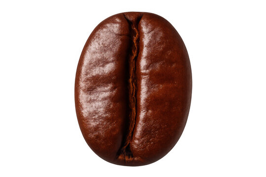 Roasted coffee bean revealing deep brown hue, detailed texture against transparent surface, highlighting natural coffee essence