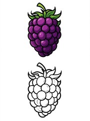 Colored and Black and White Raspberry Illustration