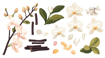Vanilla Orchid and White Ingredients Composition