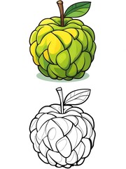 Colorful and Black and White Rambutan Illustration