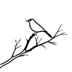 bird on branch