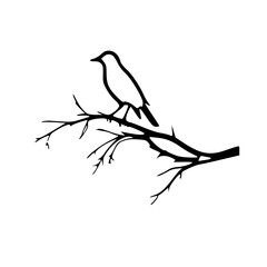 bird on a branch