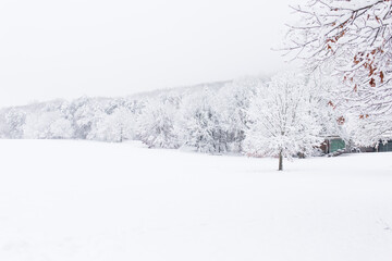snow covered landscape