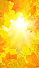 Obraz premium Vibrant autumn leaves bathed in warm sunlight, a golden glow