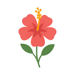 flower Hibiscus illustration vector on white background
Vector illustration on white background flowers