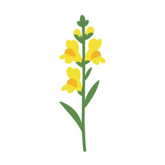Naklejka premium flower Toadflax illustration vector on white background Vector illustration on white background flowers