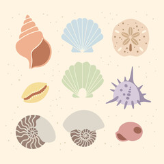 Collection of colorful seashells arranged on a beige background.