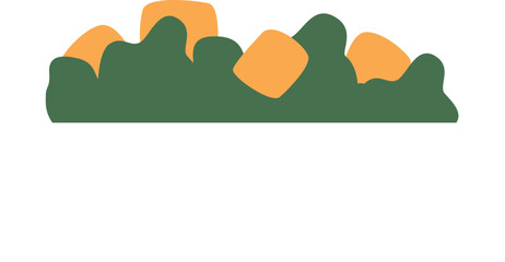 Christmas fir branch with decoration