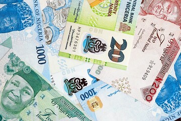 Nigerian naira currency money. The current banknotes lies on table in big amount