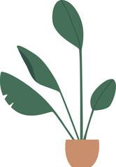 Potted houseplant with green leaves