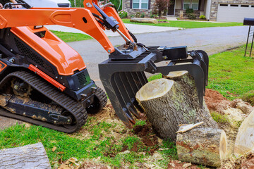 Compact skid steer track loader is working to remove large tree stump after strong tornado from quiet suburban area.