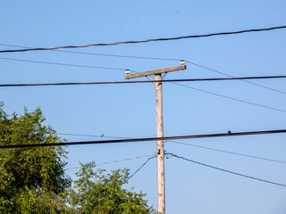 A wooden utility pole with power lines on a clear summer afternoon
