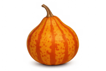 Studio shot of a decorative gourd with vibrant orange and red stripes, isolated on a transparent background, perfect for autumnal designs