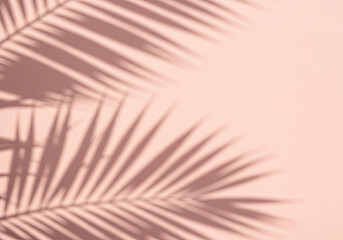 Tropical Palm Shadows and Textures Minimal Aesthetic